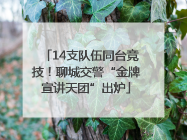 14支队伍同台竞技！聊城交警“金牌宣讲天团”出炉