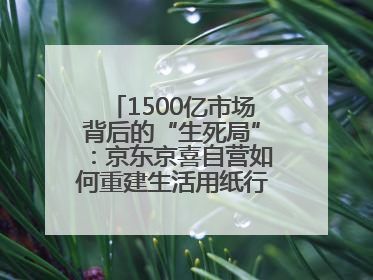 1500亿市场背后的“生死局”：京东京喜自营如何重建生活用纸行业信任？