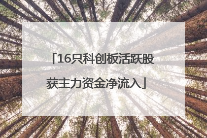 16只科创板活跃股获主力资金净流入