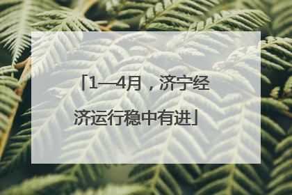 1—4月，济宁经济运行稳中有进