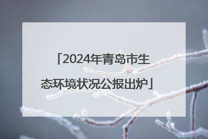 2024年青岛市生态环境状况公报出炉