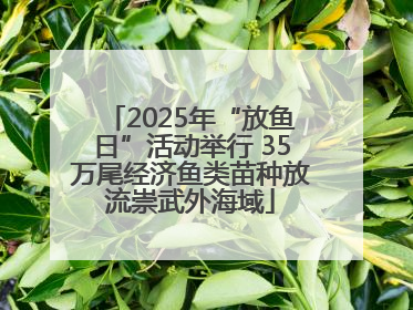 2025年“放鱼日”活动举行 35万尾经济鱼类苗种放流崇武外海域