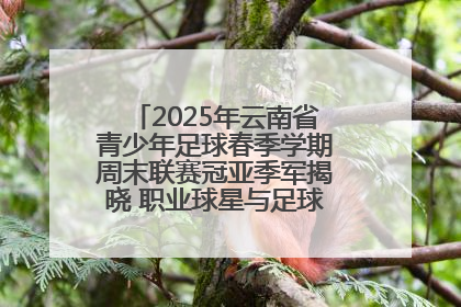 2025年云南省青少年足球春季学期周末联赛冠亚季军揭晓 职业球星与足球小将共享荣耀时刻
