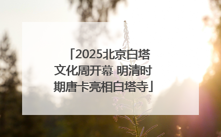 2025北京白塔文化周开幕 明清时期唐卡亮相白塔寺