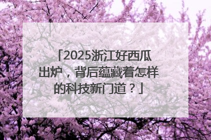 2025浙江好西瓜出炉，背后蕴藏着怎样的科技新门道？