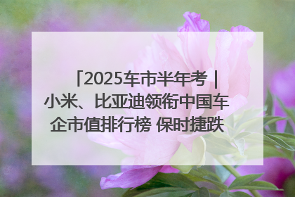 2025车市半年考｜小米、比亚迪领衔中国车企市值排行榜 保时捷跌出全球TOP10