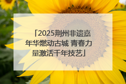 2025荆州非遗嘉年华燃动古城 青春力量激活千年技艺