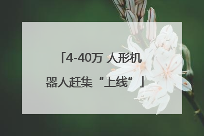 4-40万 人形机器人赶集“上线”