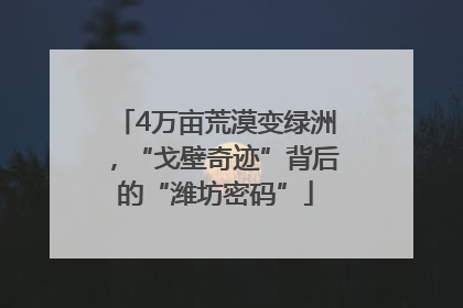 4万亩荒漠变绿洲，“戈壁奇迹”背后的“潍坊密码”