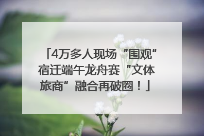4万多人现场“围观” 宿迁端午龙舟赛“文体旅商”融合再破圈！