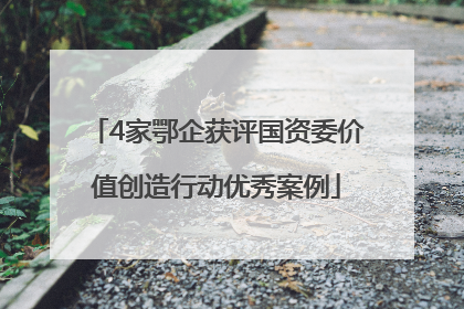 4家鄂企获评国资委价值创造行动优秀案例