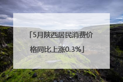 5月陕西居民消费价格同比上涨0.3%