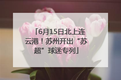 6月15日北上连云港！苏州开出“苏超”球迷专列