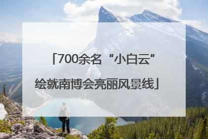 700余名“小白云”绘就南博会亮丽风景线
