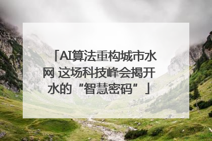 AI算法重构城市水网 这场科技峰会揭开水的“智慧密码”