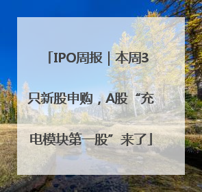 IPO周报｜本周3只新股申购，A股“充电模块第一股”来了