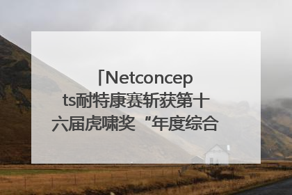 Netconcepts耐特康赛斩获第十六届虎啸奖“年度综合服务商”大奖