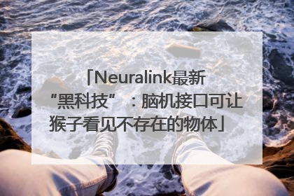 Neuralink最新“黑科技”：脑机接口可让猴子看见不存在的物体